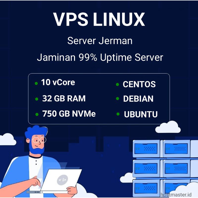 VPS Linux 10 vCore 32 GB RAM 750 GB NVMe