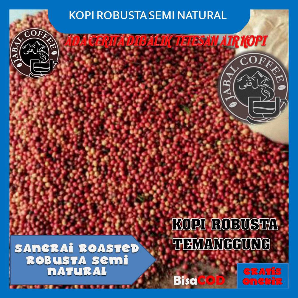 Kopi Sangrai Roasted Robusta Semi Natural Jabal Coffee Kopi Temanggung