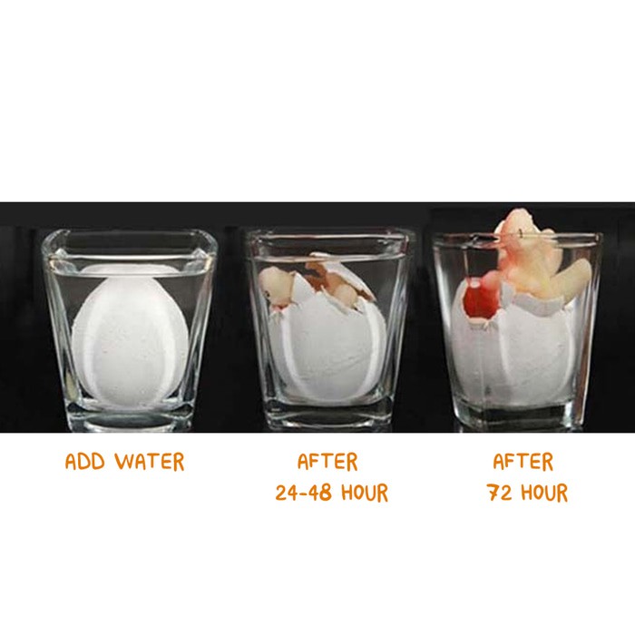 

Telur Dino 3Cm - Dinosaurs Egg Harga Satuan Murah (Min-67)