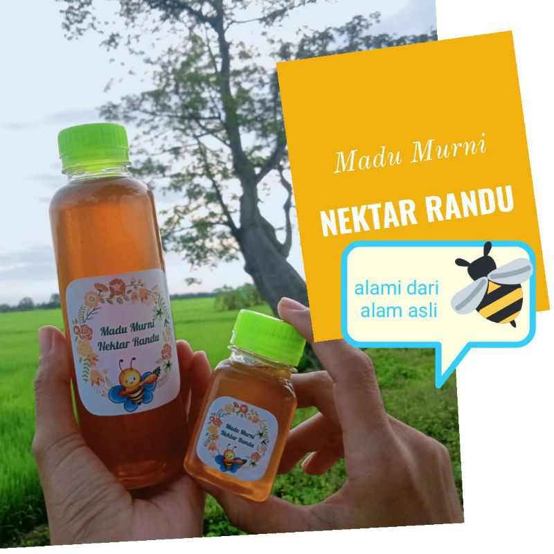 

Madu Murni Nektar Randu