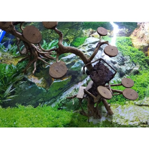 Kayu Bonsai Aquascape Size M