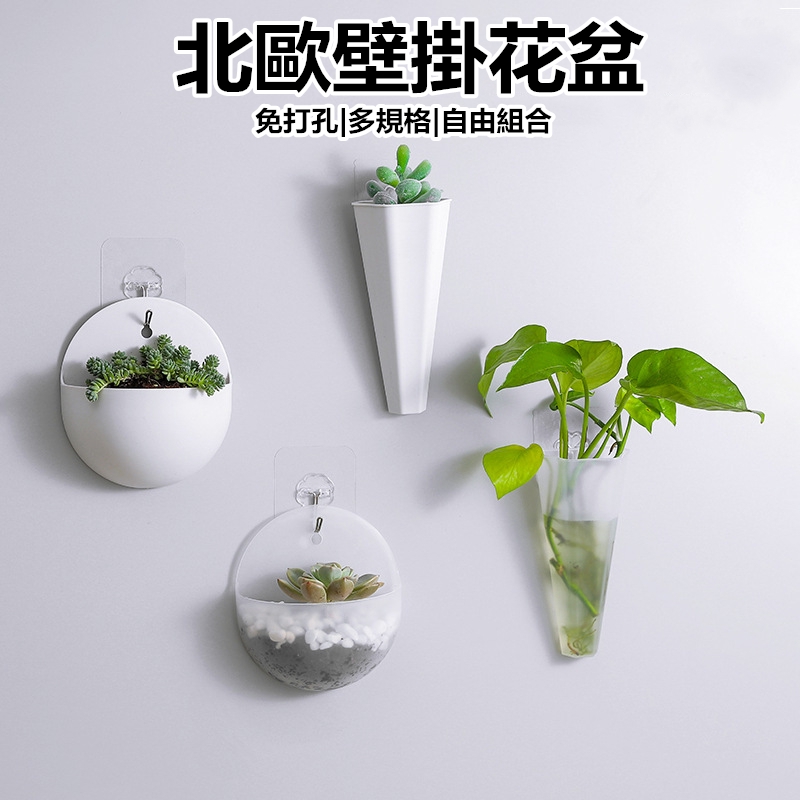  Pot  Bunga Hidroponik  Model  Ditempel Pada Dinding Gaya 