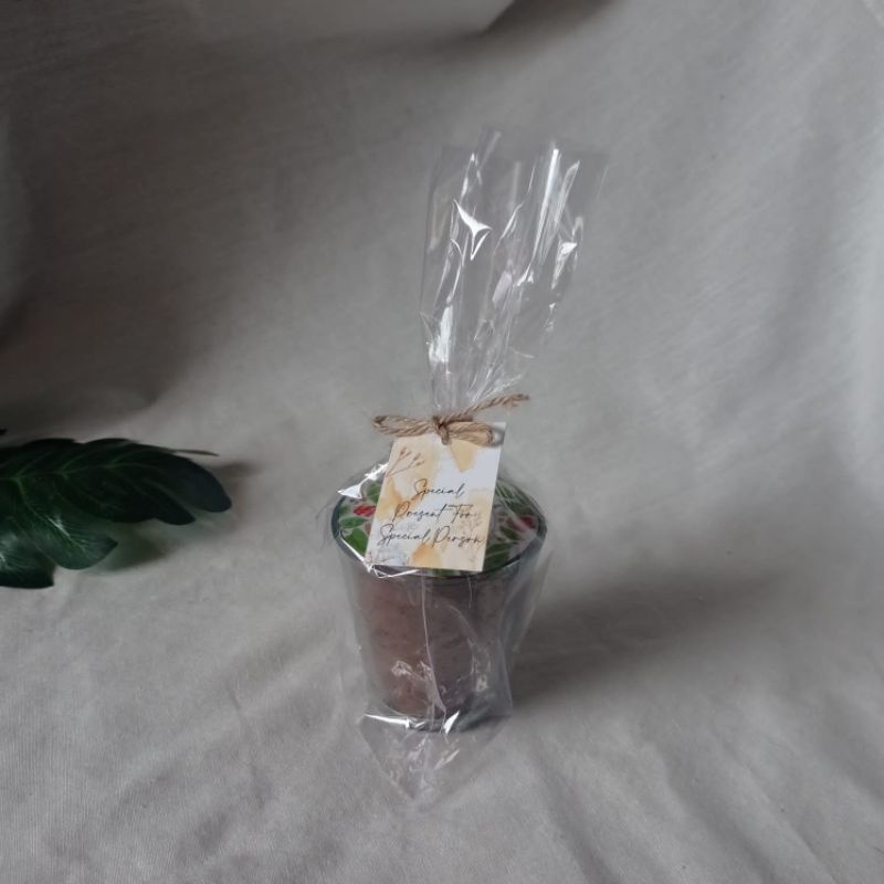 

Sovenir kopi Murah / Sovenir Pernikahan Mirah