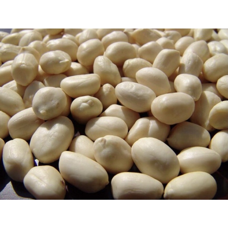 

kacang tanah kupas/250g-500g/ALL VARIAN/ukuran jumbo/sedang/kecil