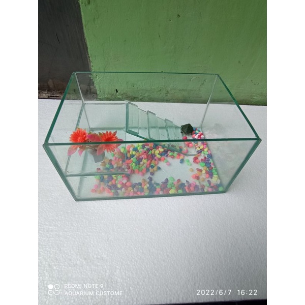 Aquarium 30x20x15 dan kura kura