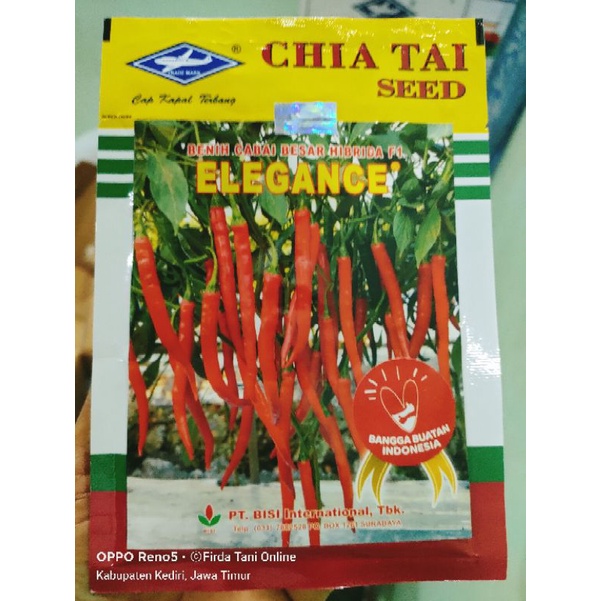 CABE BESAR ELEGANCE F1 10GR CABE HIBRIDA TAHAN VIRUS ORIGINAL PABRIK