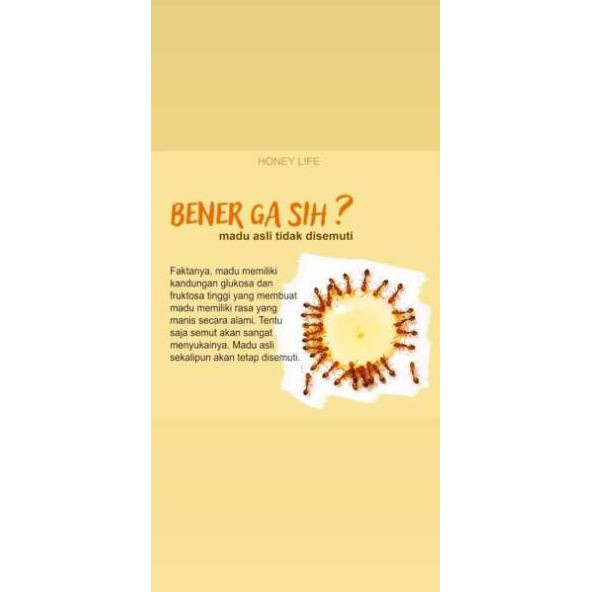 

Madu Hevea Haldin Foods/Murni tanpa campuran/1,5 kg/Halal MUI/Tersertifikasi ISO ERH