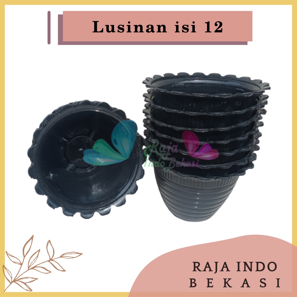 Lusinan Pot Super Tawon 10 Cm Hitam By Garden Of Love Pot Tawon 10cm Lusinan Tirus Jet Putih Hitam