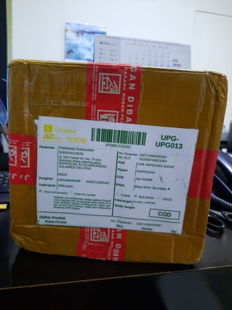 Kaktus Gymno Paket Sultan Dipot 10cm