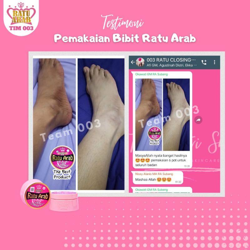 Bibit ratu arab / ratu arab