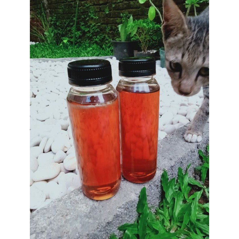 

Madu Hutan