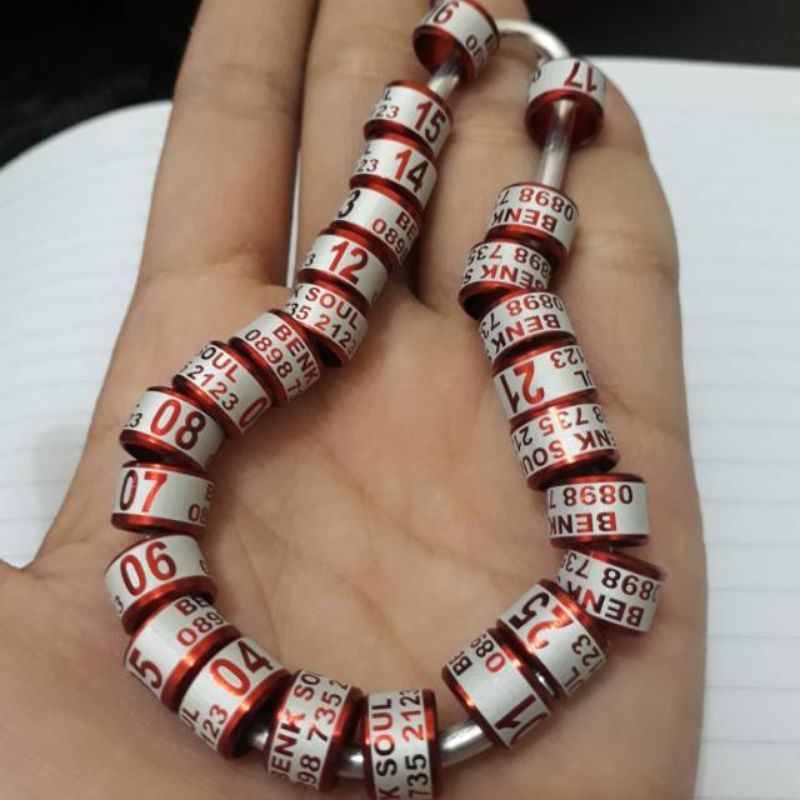 Ring burung laser blok isi 25