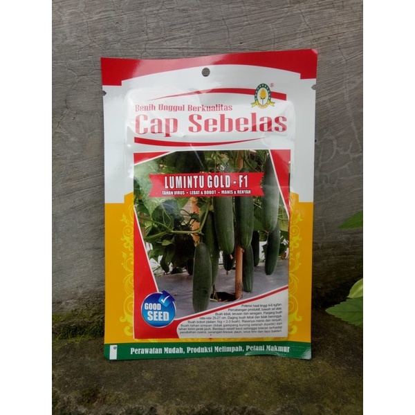 Benih Timun Lumintu Gold F1 20 gram