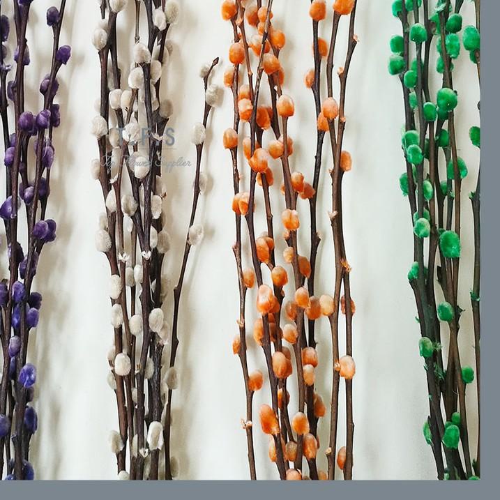 Dried Flower Pussy Willow Bunga Tanaman Kering Asli Import Hias Dekorasi Imlek CNY Pesta