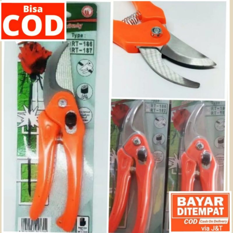 GUNTING DAHAN, GUTING RANTING (GUNINDO) Anti karat