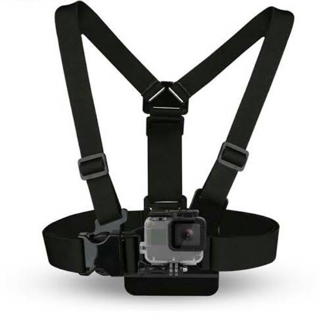 Chest strap premium