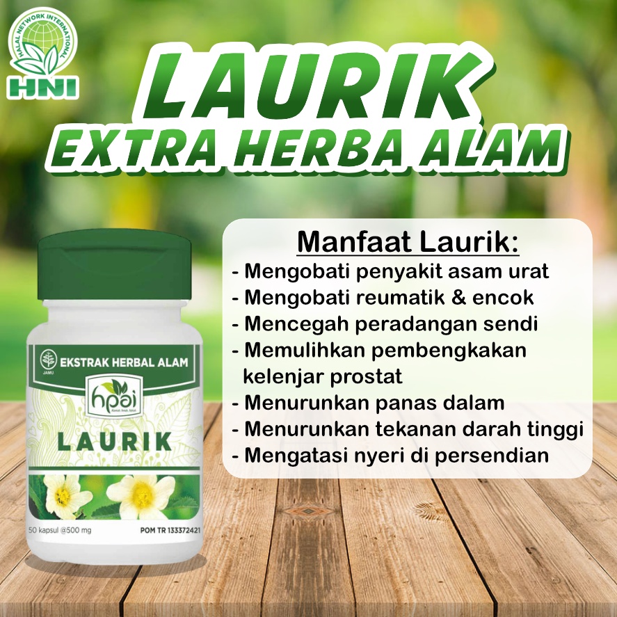 LAURIK HNI HPAI  obat herbal  asam urat prostat darah  