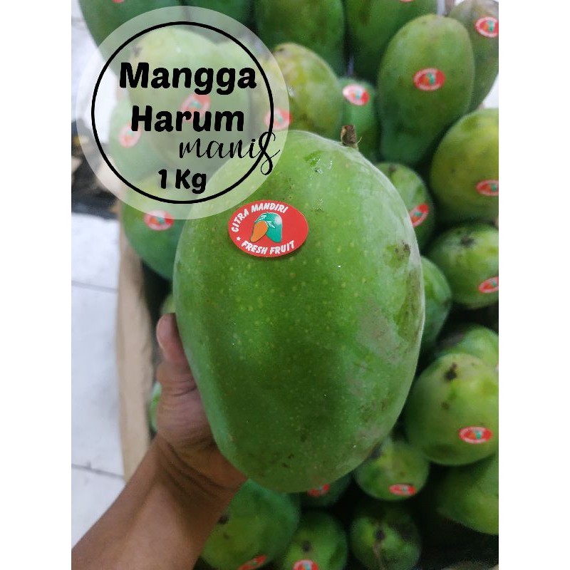 Jual Mangga Harum Manis Super 1 Kg Indonesiashopee Indonesia 