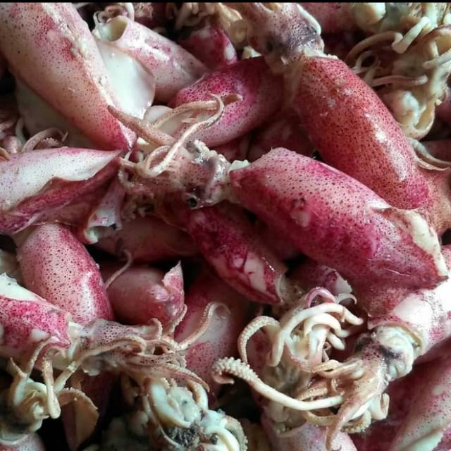 

Cumi Asin 100gr & 250gr