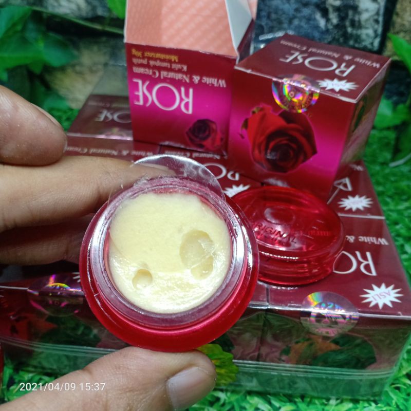 ( 12PCS )CREAM ROSE ORIGINAL 100%