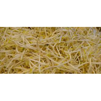 

Toge 250gr