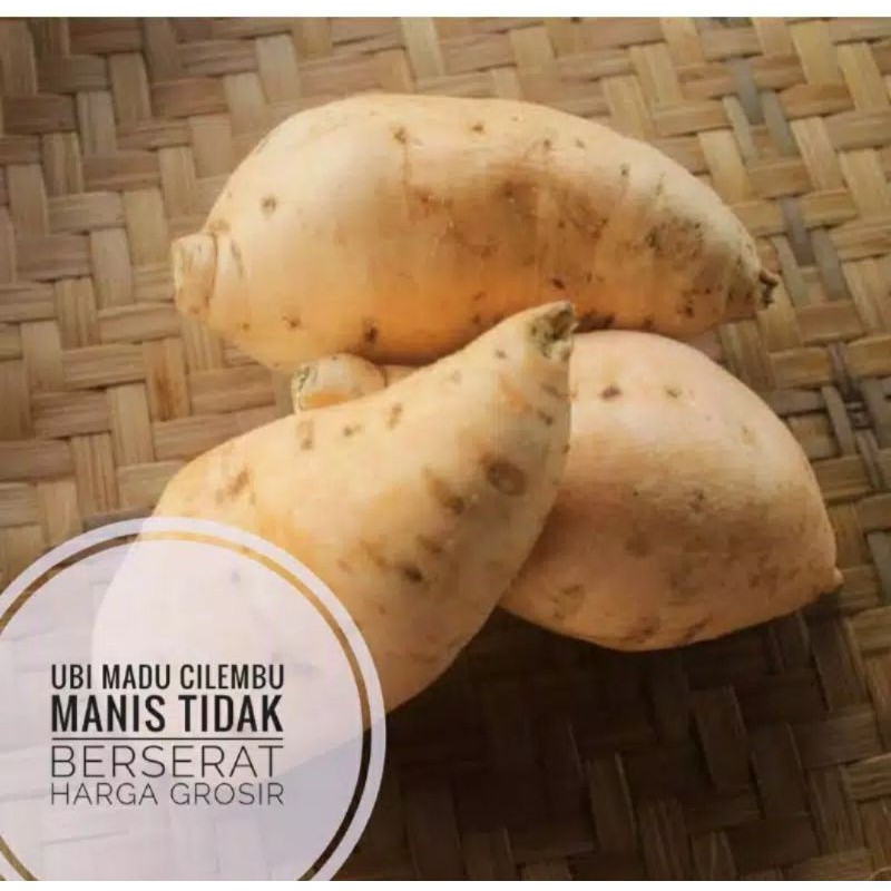 Ubi Cilembu Simanis Madu Asli Sumedang