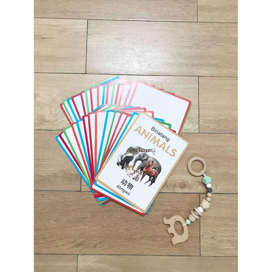 My Own Flashcard /Flash Card Anak 3 Bahasa - Seri Animals kartu pintar