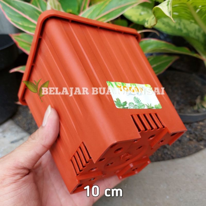 Pot Kotak YPK 10 Cm Pot Tanaman