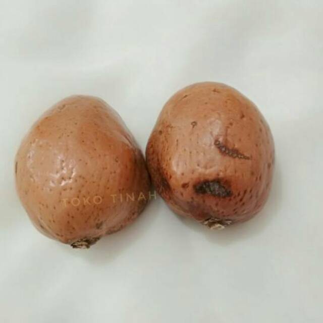 

Buah zuriat paket isi 2 buah asli Arab buat promil