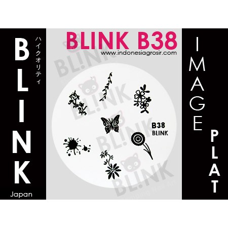 BLINK Image Plate B34- B45