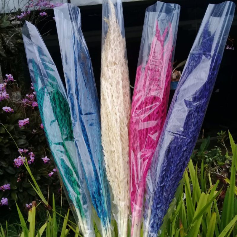 Bunga Kering Jagung Kembang Kering Jagung Dried Flower Bunga Kering