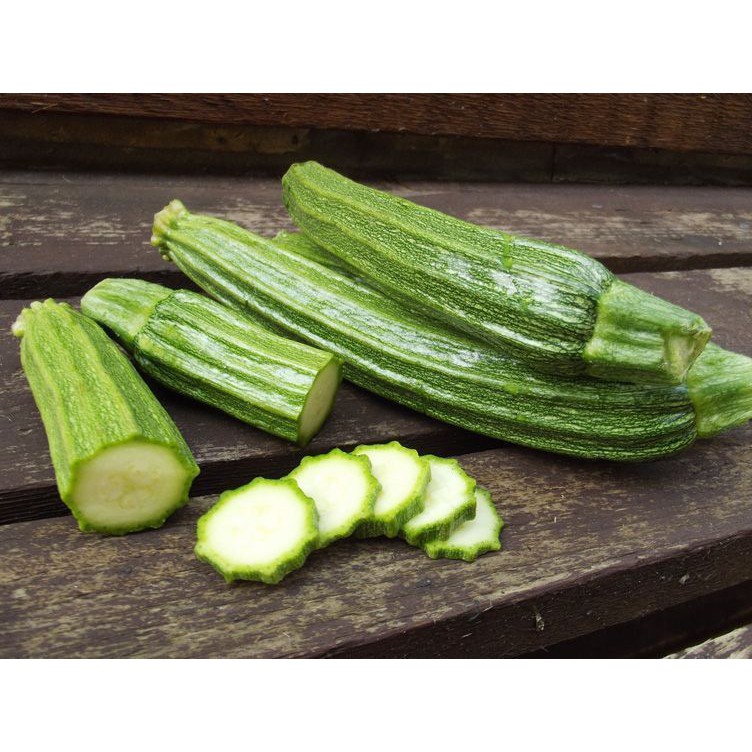 Courgette Romanesco 3 Biji (Benih Biji Bibit Tanaman Sayur Sayuran)