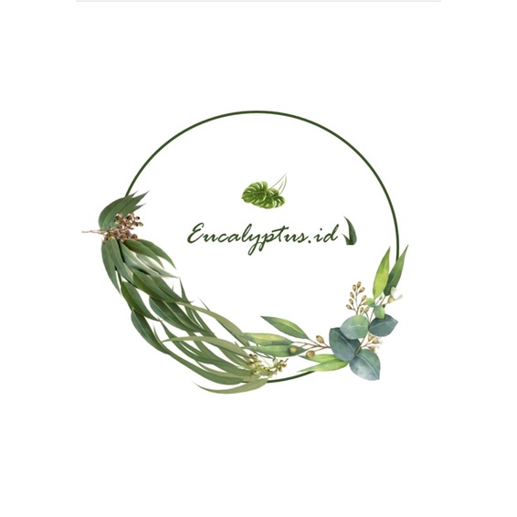 Aglaonema Silver/Aglaonema Jadul/Sri Rejeki