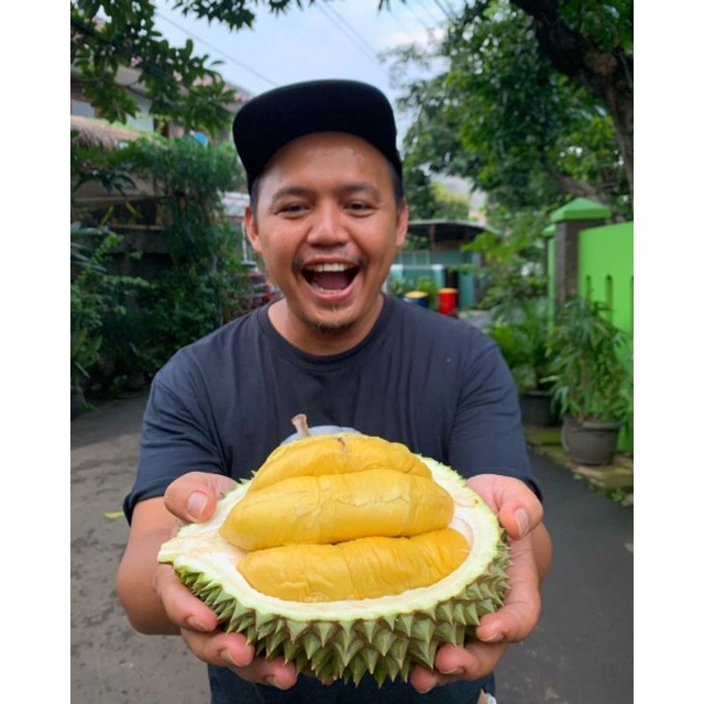 Bibit Durian Musangking Ukuran 1 meter