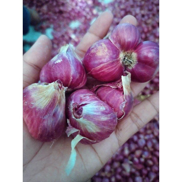 

Bawang Merah Super 500 gram