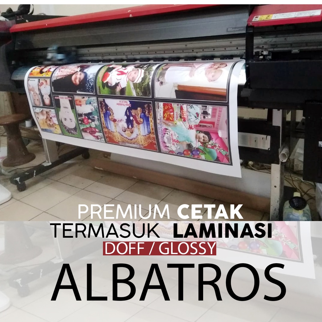 

Albatros+ Laminasi
