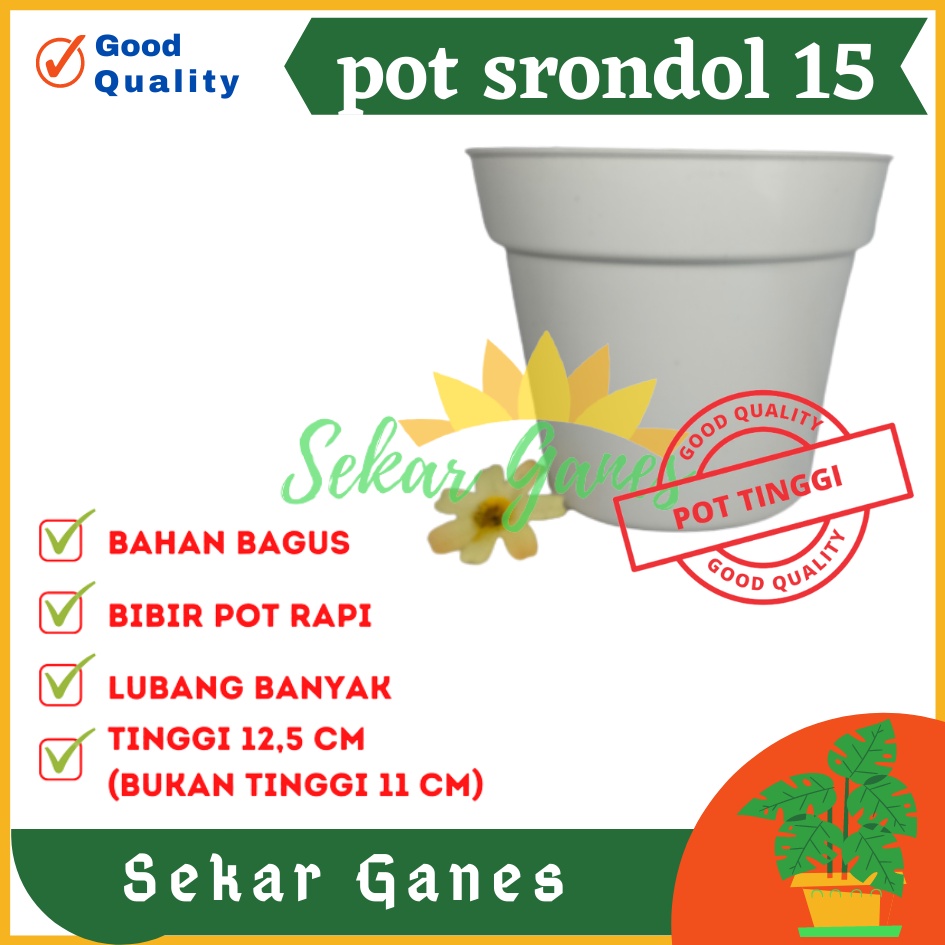 Sekarganes Pot Tinggi Srondol 15 Putih - Pot Tinggi Usa Eiffel Effiel 18 20 25 Lusinan Pot Tinggi Tirus 15 18 20 30 35 40 50 Cm Paket murah isi 1 lusin pot bunga plastik lusinan pot tanaman Pot Bibit Besar Mini Kecil Pot Srondol