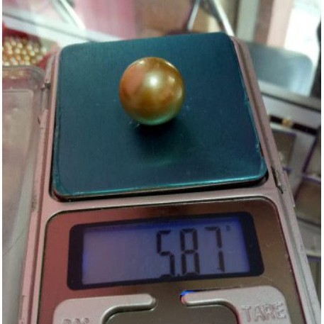 Butiran mutiara air laut butir mutiara laut asli original lombok jumbo big size langka warna gold