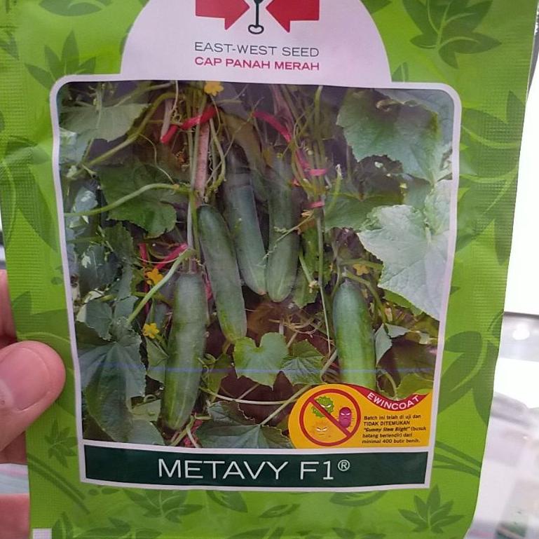 Jual➴ benih timun metavy f1,cap panah merah.( metavy lama) D69