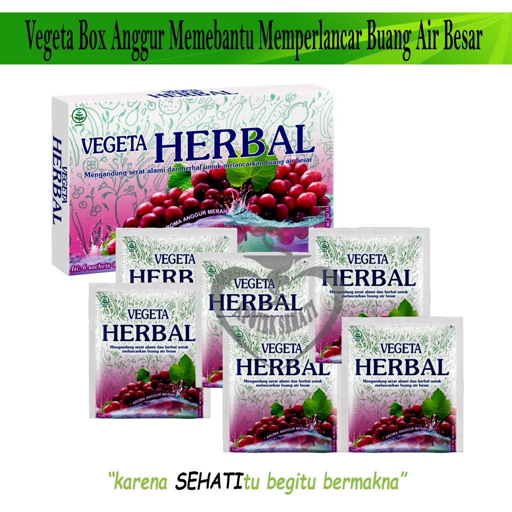 VEGETA HERBAL PER BOX SUPLEMEN PELANCAR BAB