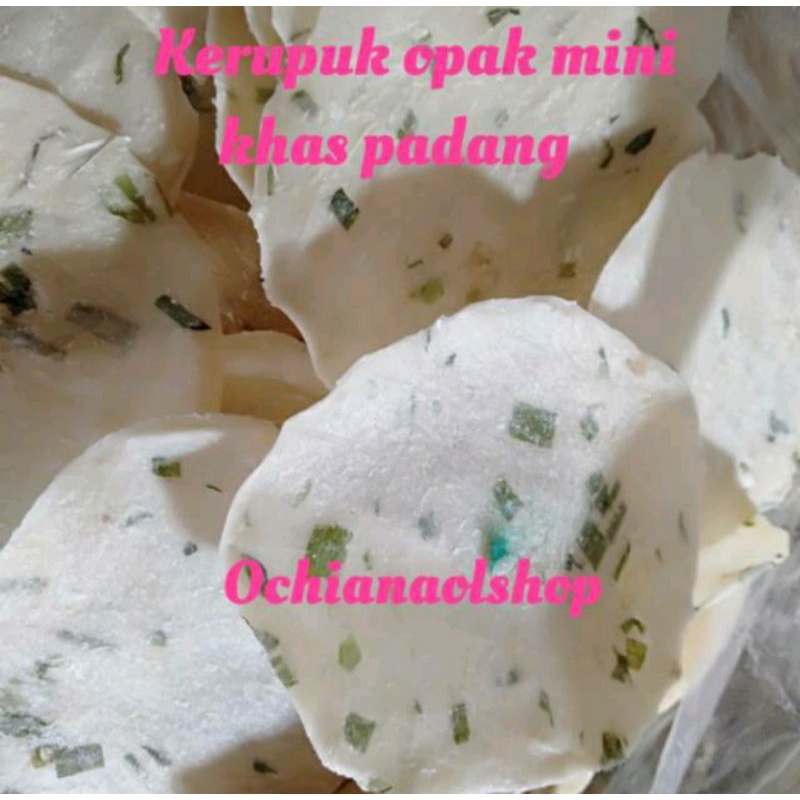 

kerupuk opak mini 500gr