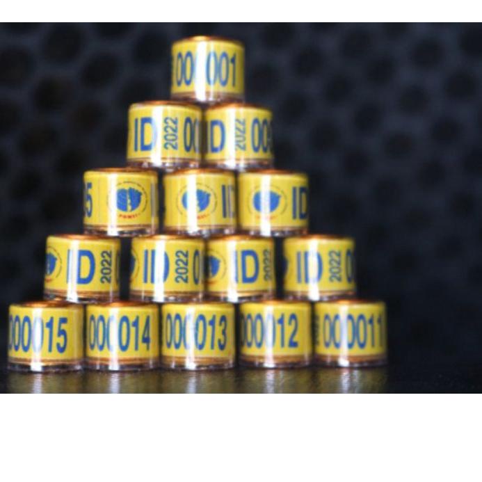 ⚡GROSIR⚡/RING ID 2022 POMSI (cincin merpati)RING ID 2022 POMSI (cincin merpati)/produck terbaik