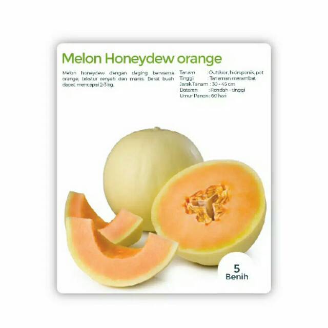 Benih Bibit Buah Melon Madu Honeydew Orange  5 benih