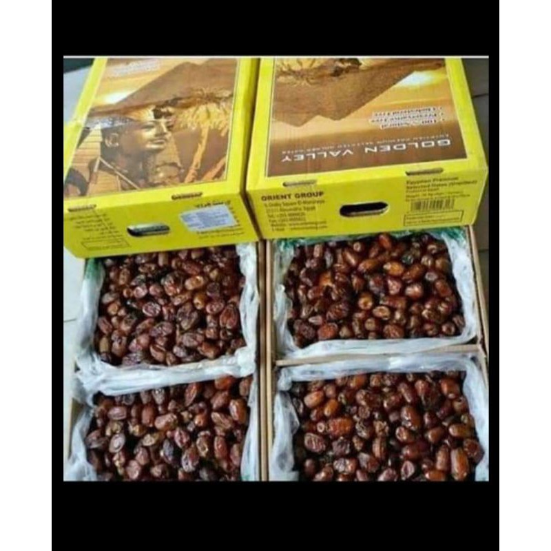 

Kurma golden valey
