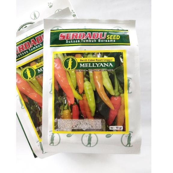 [KODE AFIST] Benih cabe MELLYANA cabai rawit putih unggul, cabai rawit tahan penyakit