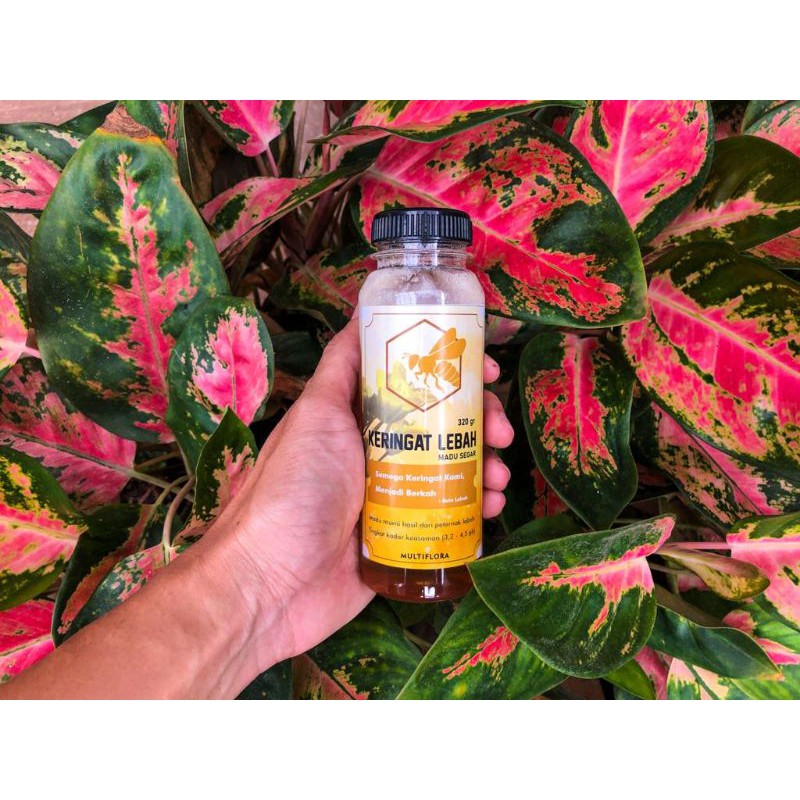 

Madu Murni Nektar Karet 250ml (2 botol)