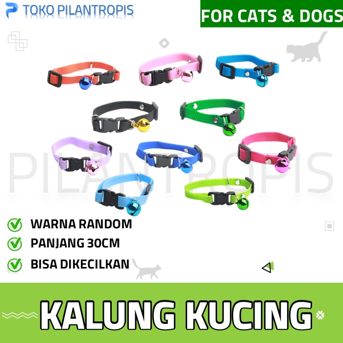 KALUNG KUCING MURAH POLOS LONCENG PET COLLAR COLAR KUCING ANJING AKSESORIS ASESORIS ACCESORIES AKSESORIS KUCING MURAH