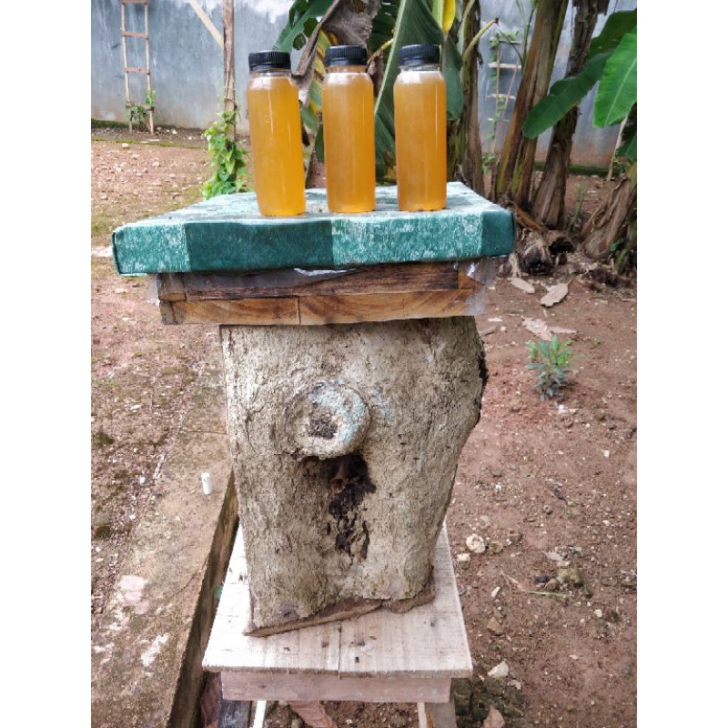 

Madu Murni