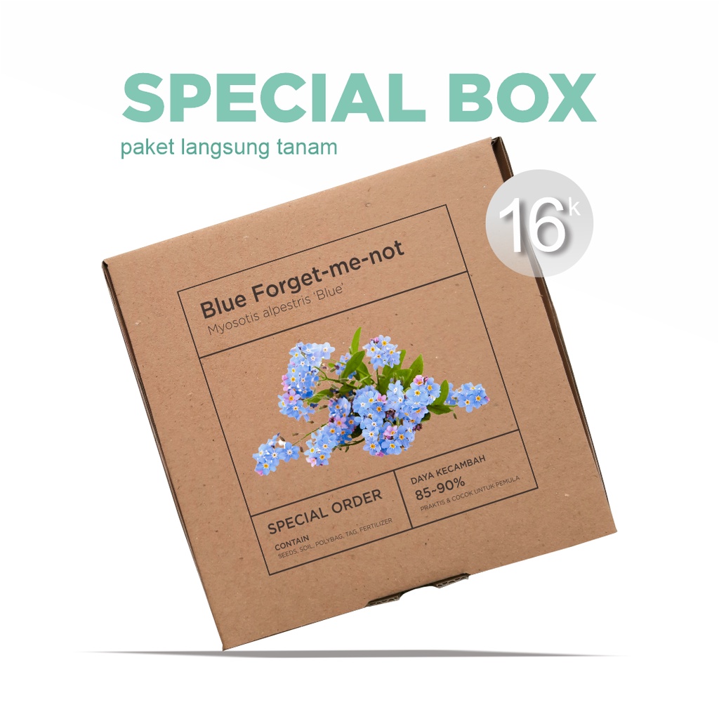 Paket Langsung Tanam - Gardening Kit - SPECIAL BOX - Benih Bunga Blue Forget Me Not Biru Flower Seeds