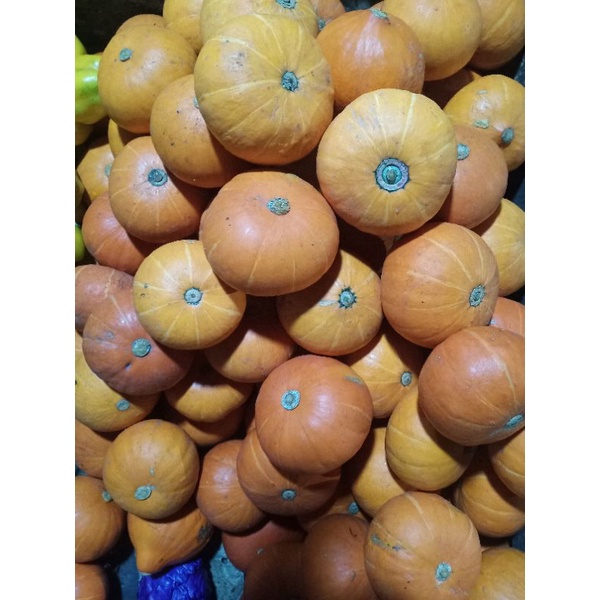 

Labu Kuning 1 kg fresh.